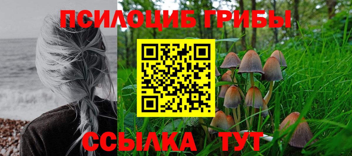 Королёв  Галлюциногенные грибы Magic Shrooms  Вход с VPN 